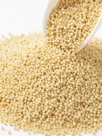 Raw amaranth with tiny yellowish seeds in a ceramic bowl