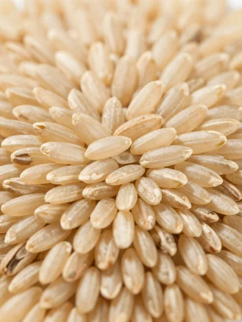 Raw brown rice grains in a rustic bowl on a kitchen counter