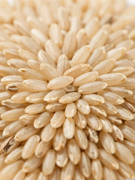 Raw brown rice grains in a rustic bowl on a kitchen counter
