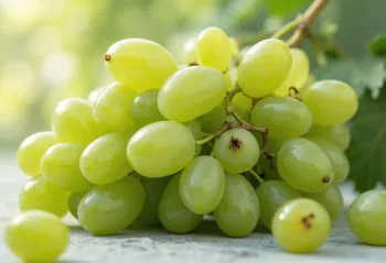 Fresh green and red grape bunches on a wooden table, next to a glass of grape juice